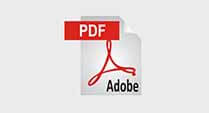 PDF